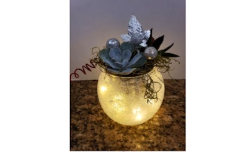 Plant Nite: Glittering Holiday Globe